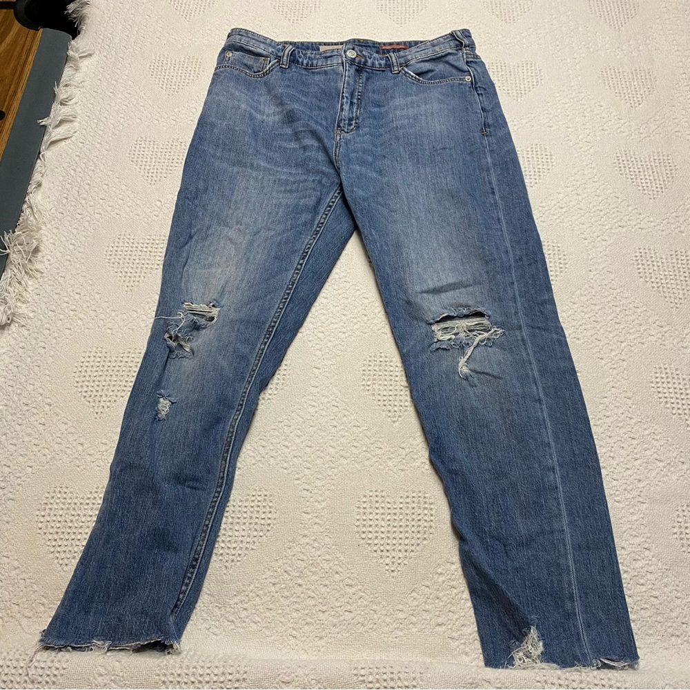 Pilcro Distressed Jeans (29T)